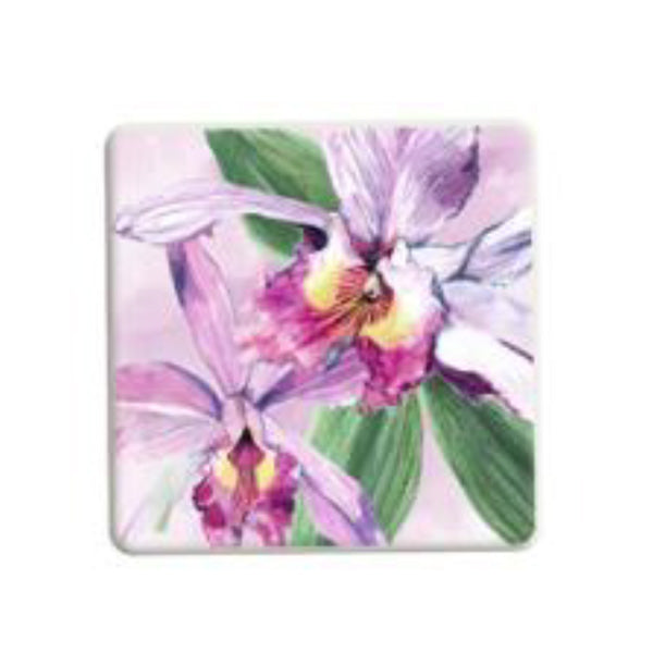 American Museum of Natural History Butterfly Silk Scarf