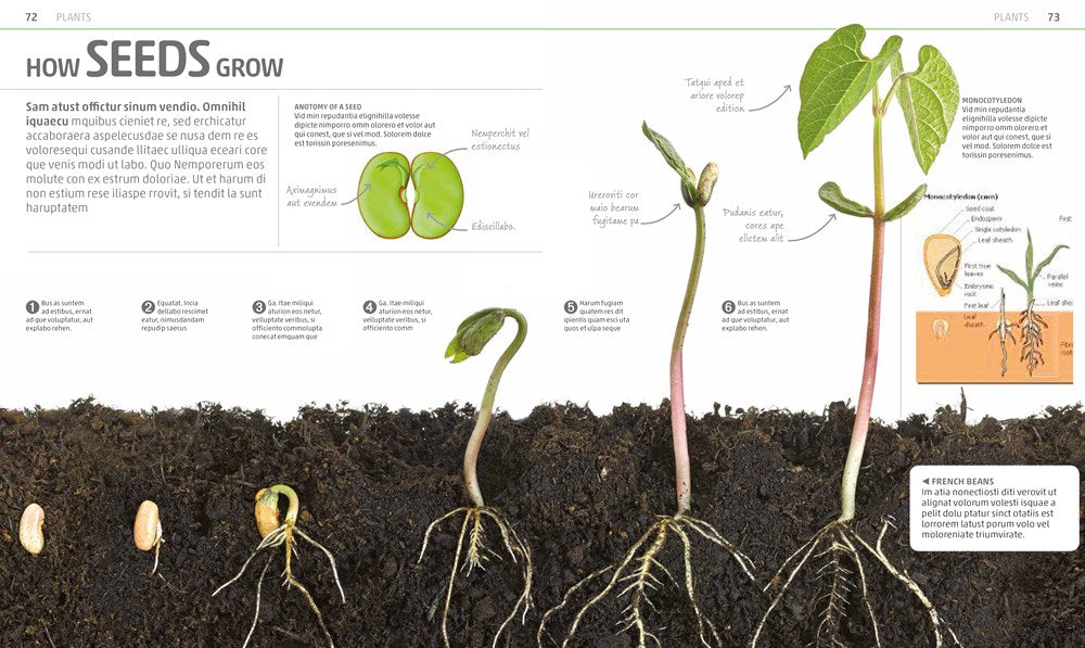 Explanatorium of Nature