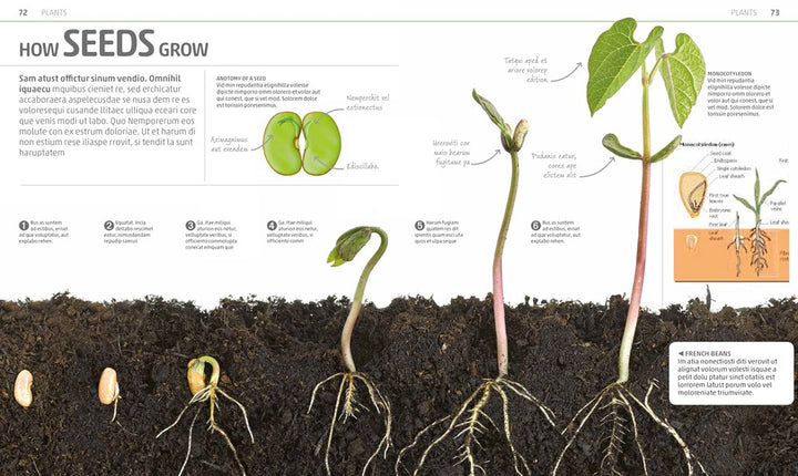 Explanatorium of Nature