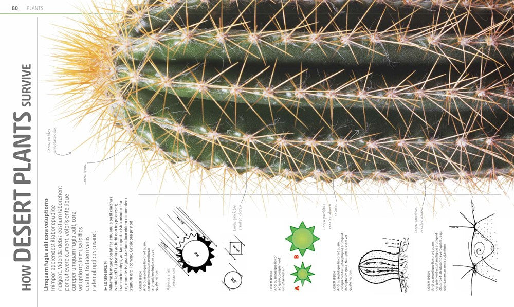 Explanatorium of Nature