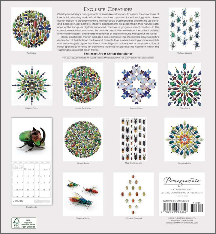 Exquisite Creatures:  The Insect Art of Christopher Marley 2013 Calendar