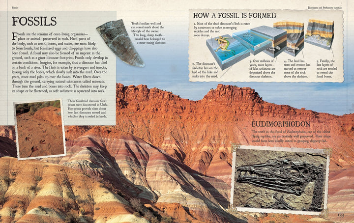 Firefly Encyclopedia of Dinosaurs and Prehistoric Animals