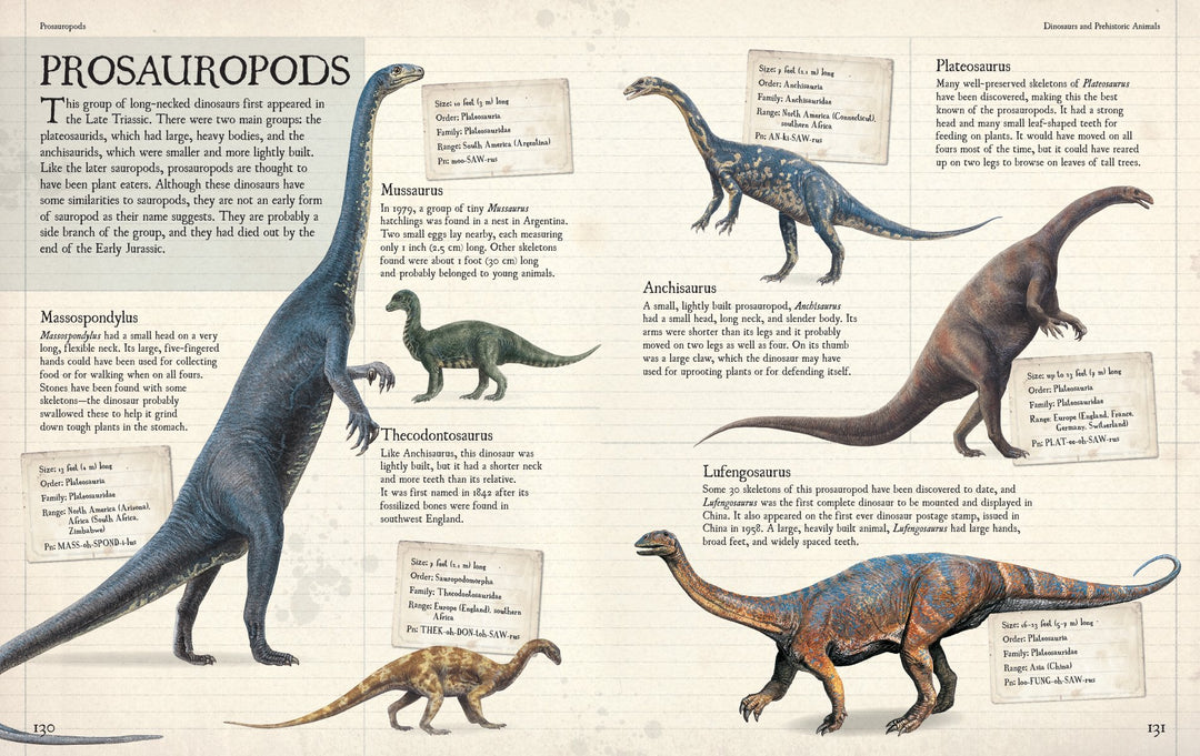 Firefly Encyclopedia of Dinosaurs and Prehistoric Animals