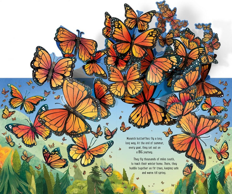 Pop-Up Butterflies Book