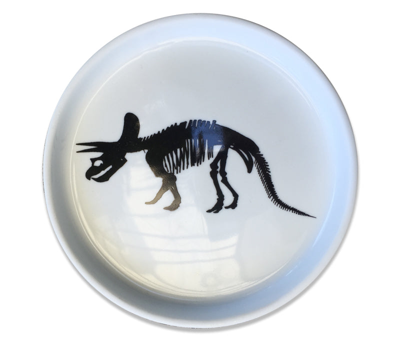 Black Fossil Dinosaur Trinket Plates