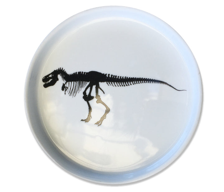 Black Fossil Dinosaur Trinket Plates