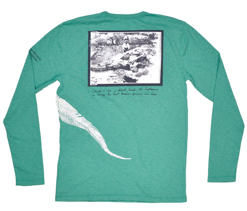 Glow-in-the-Dark Dino Tee - J.Crew for the American Museum of Natural History