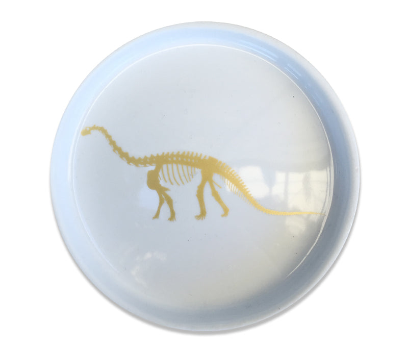 Gold Fossil Dinosaur Trinket Plates