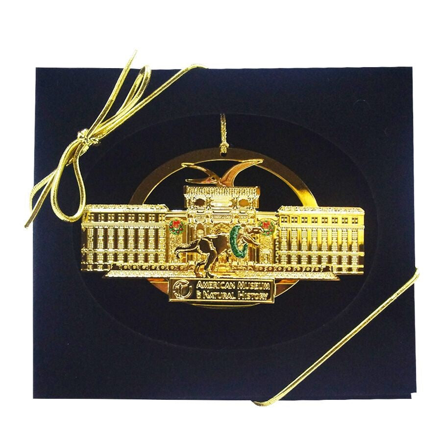 B352 (2011) The early evolution of archosaurs: relationships and the origin of major clades