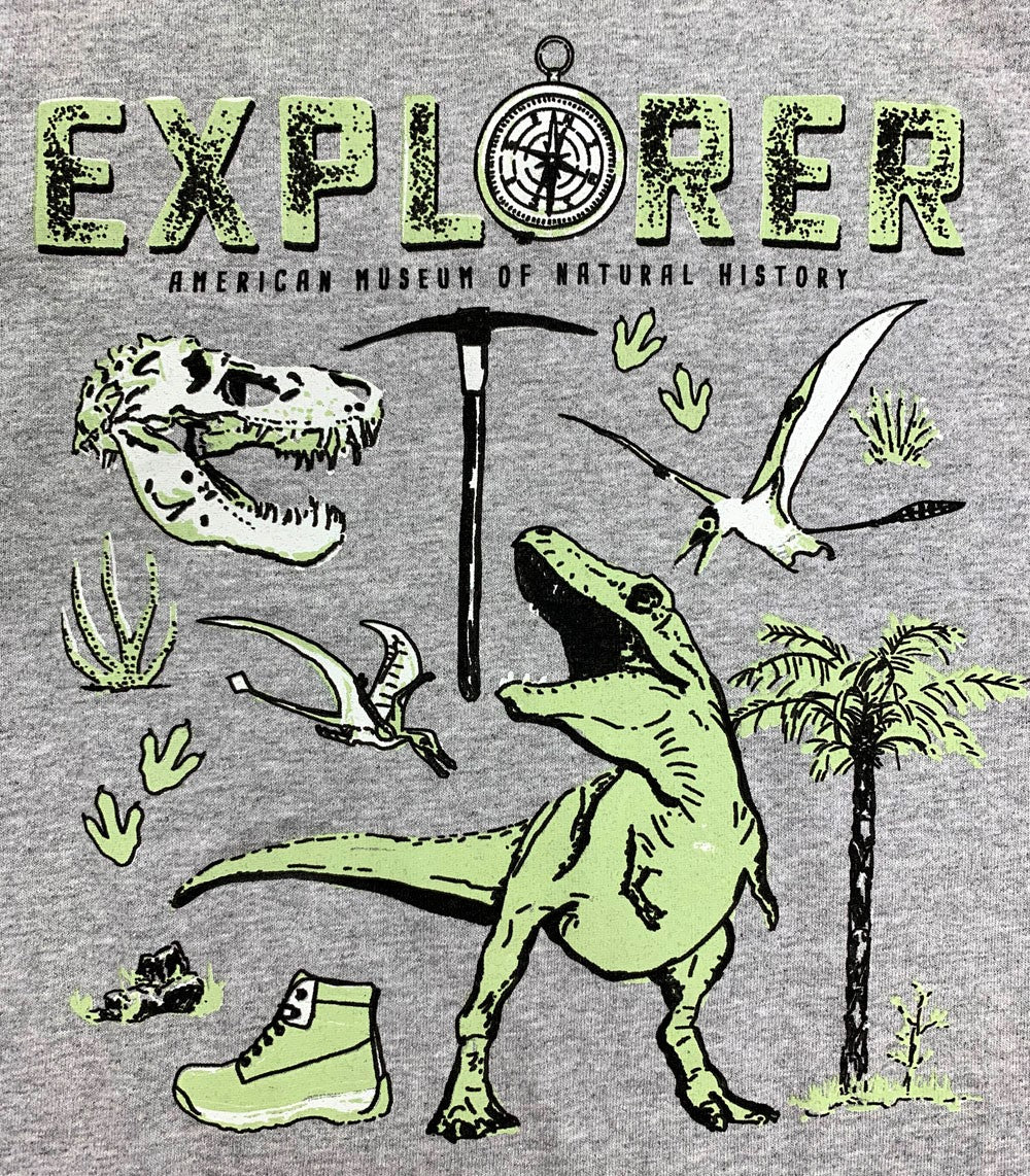 Youth Dinosaur Explorer T-Shirt