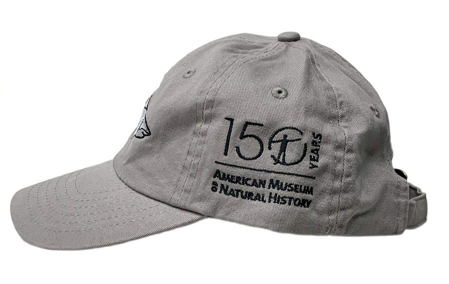 Small Fit Gray Shark Cap