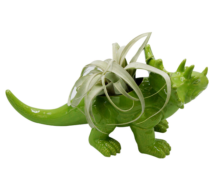 Green Triceratops Dinosaur Planter
