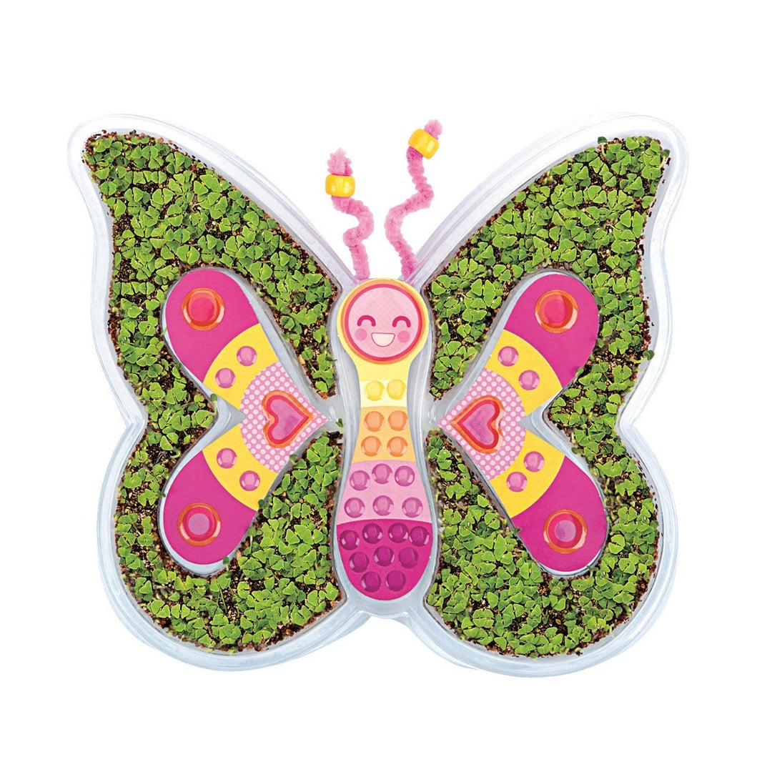 Grow Butterfly Kit
