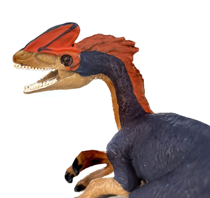 5 Inch Guanlong Dinosaur