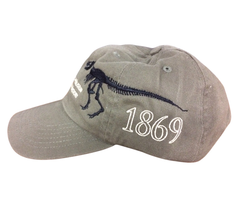AMNH Est 1869 T. Rex Cap