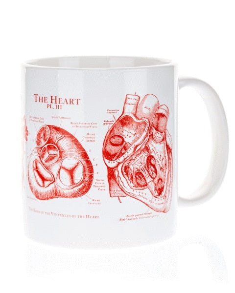 Anatomical Heart Mega Mug