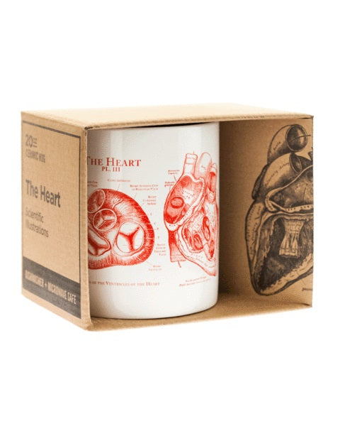 Anatomical Heart Mega Mug
