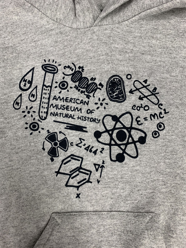 Youth Gray Eco-Friendly I Heart Science Hoodie