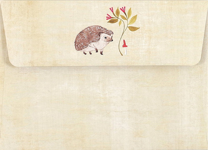 Hedgehog Notecards Boxed Set of 14
