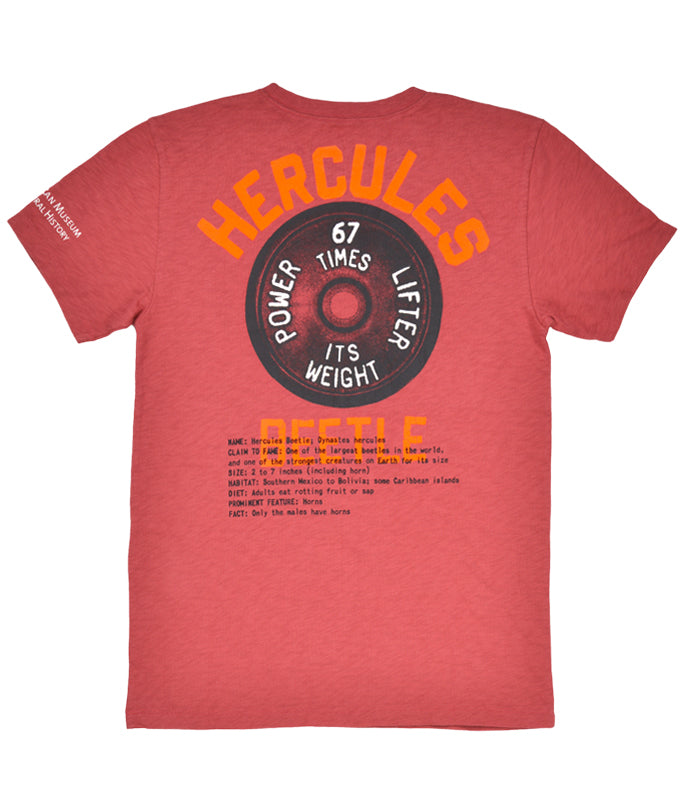 Hercules Beetle Tee - J.Crew for the American Museum of Natural History