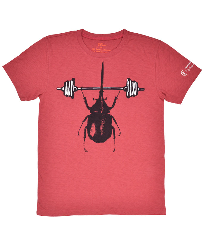 Hercules Beetle Tee - J.Crew for the American Museum of Natural History