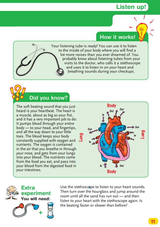 Thames & Kosmos The Human Body