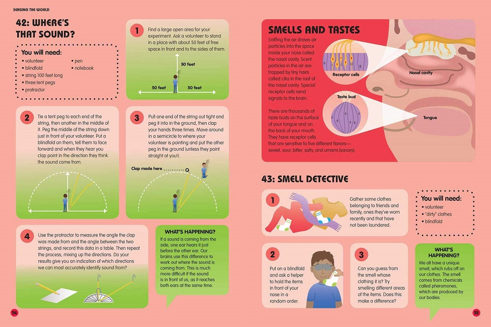 Science Lab Human Body Kit