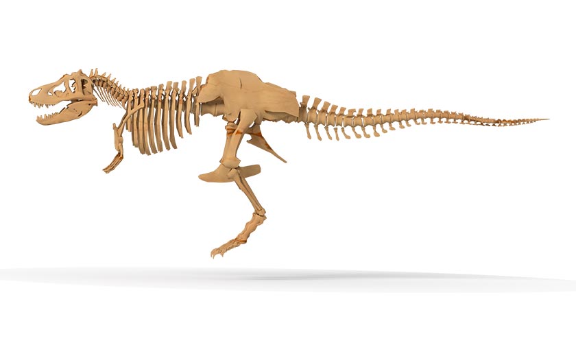 I Dig It! Giant Dinosaur Skeleton Kit