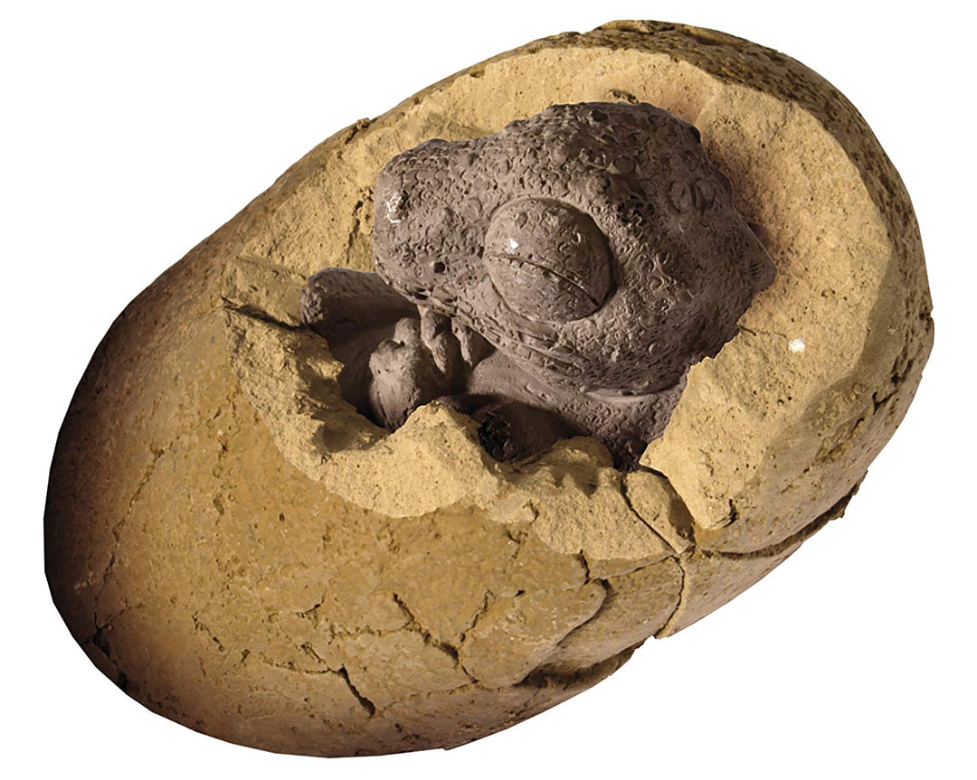 I Dig It! T. Rex Egg Excavation Kit