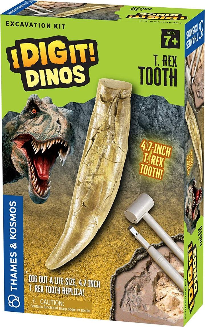 I Dig It! T. Rex Tooth Excavation Kit