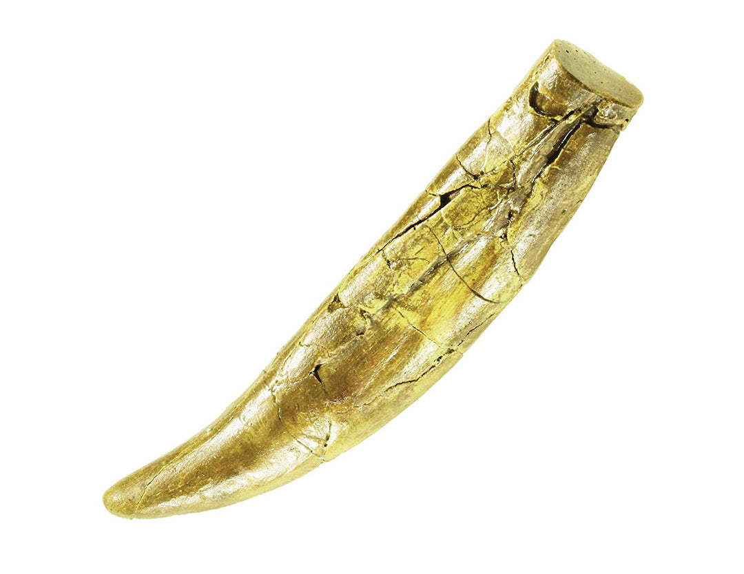 I Dig It! T. Rex Tooth Excavation Kit