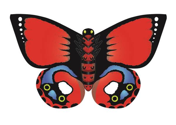 Assorted Butterfly Kites