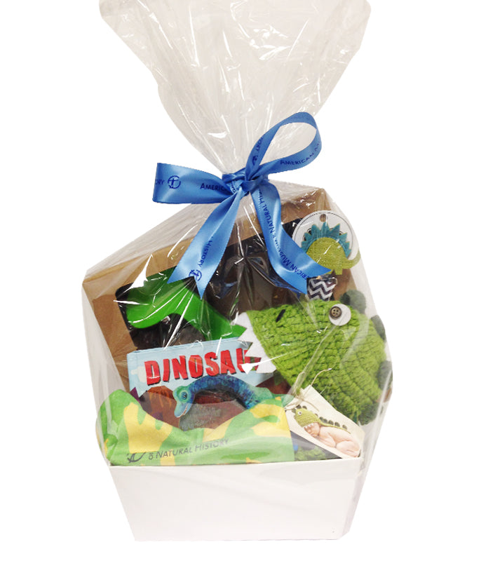 Baby Dino Gift Basket