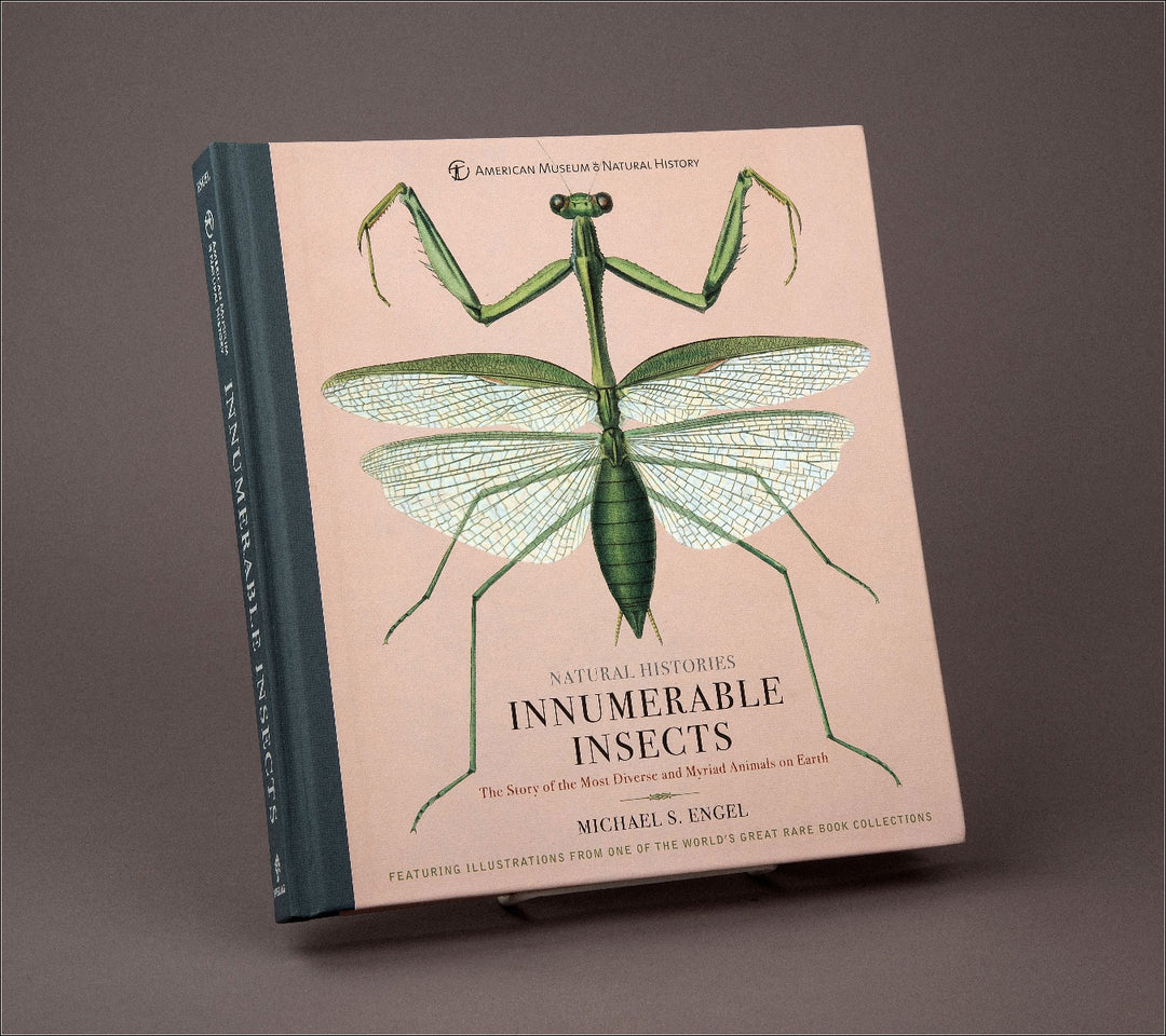 Natural Histories Innumerable Insects