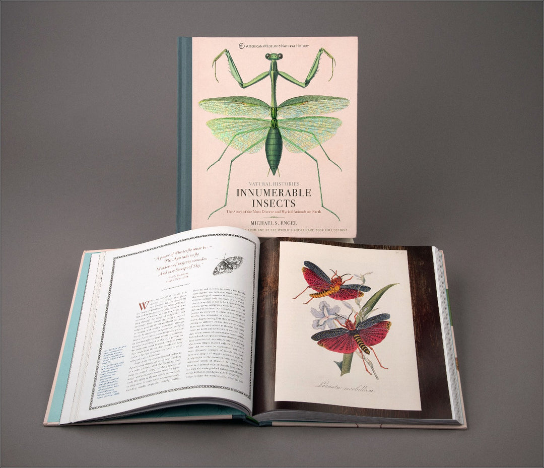 Natural Histories Innumerable Insects