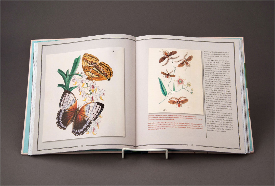 Natural Histories Innumerable Insects