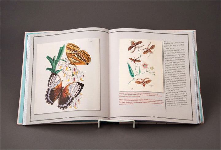 Natural Histories Innumerable Insects