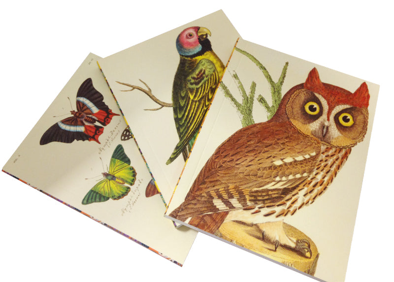 Nature's Art Petite Journal Set