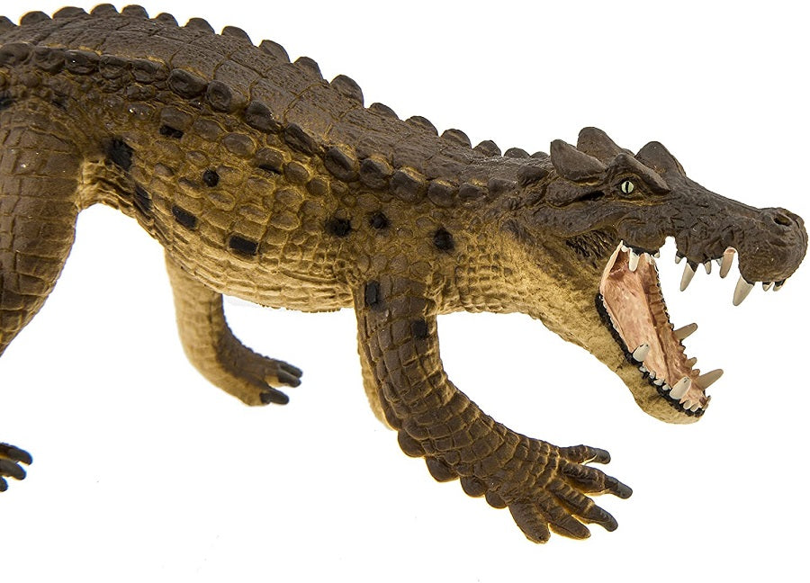 8 Inch PVC Kaprosuchus