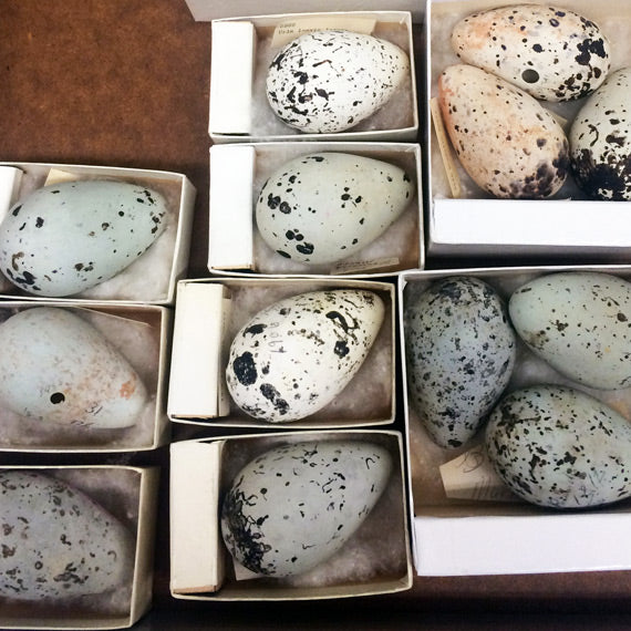 Blue Speckled Leather Pouch