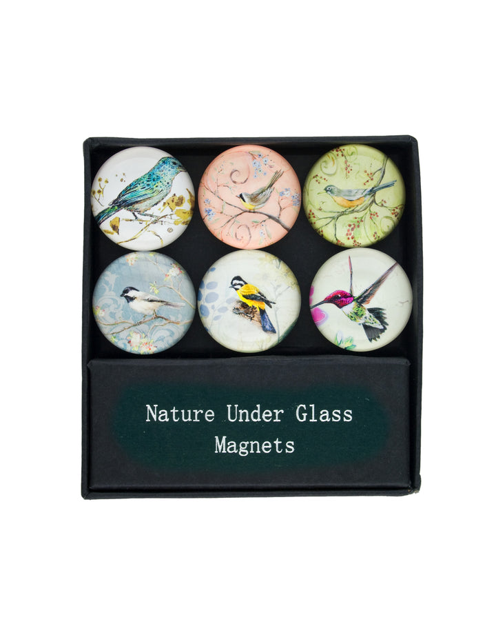Nature Under Glass Magnets