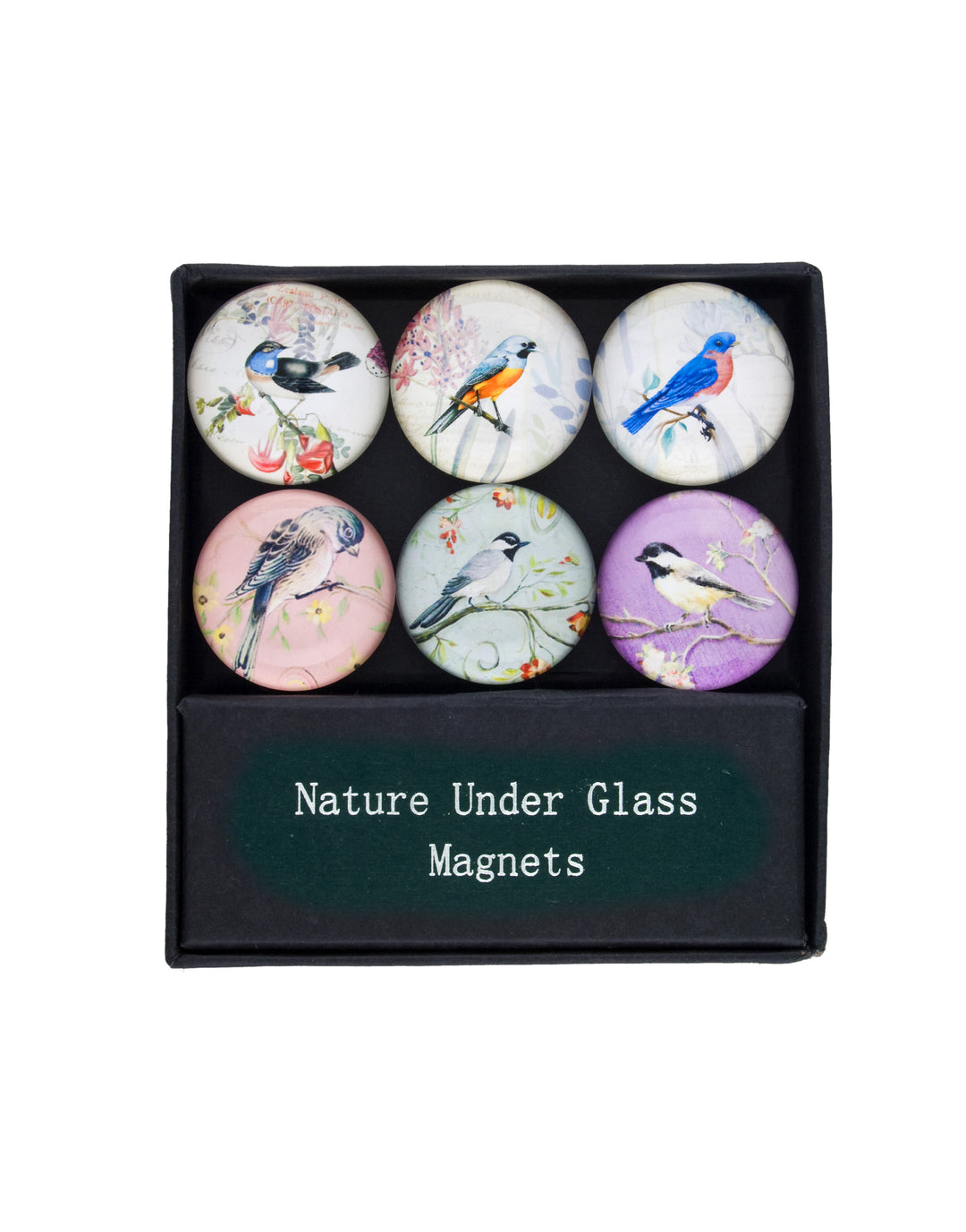 Nature Under Glass Magnets