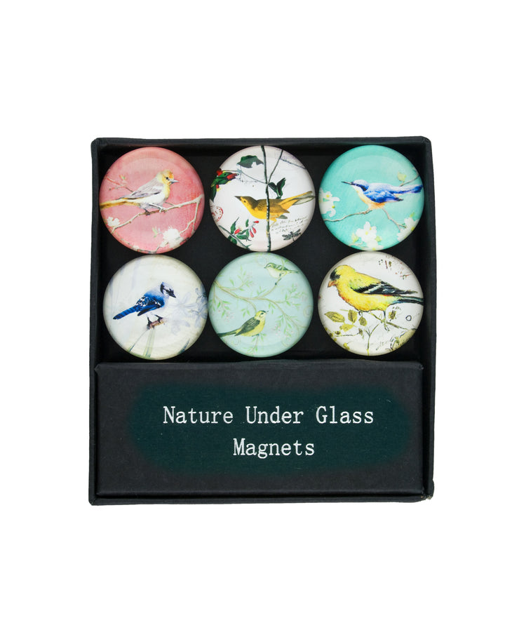 Nature Under Glass Magnets