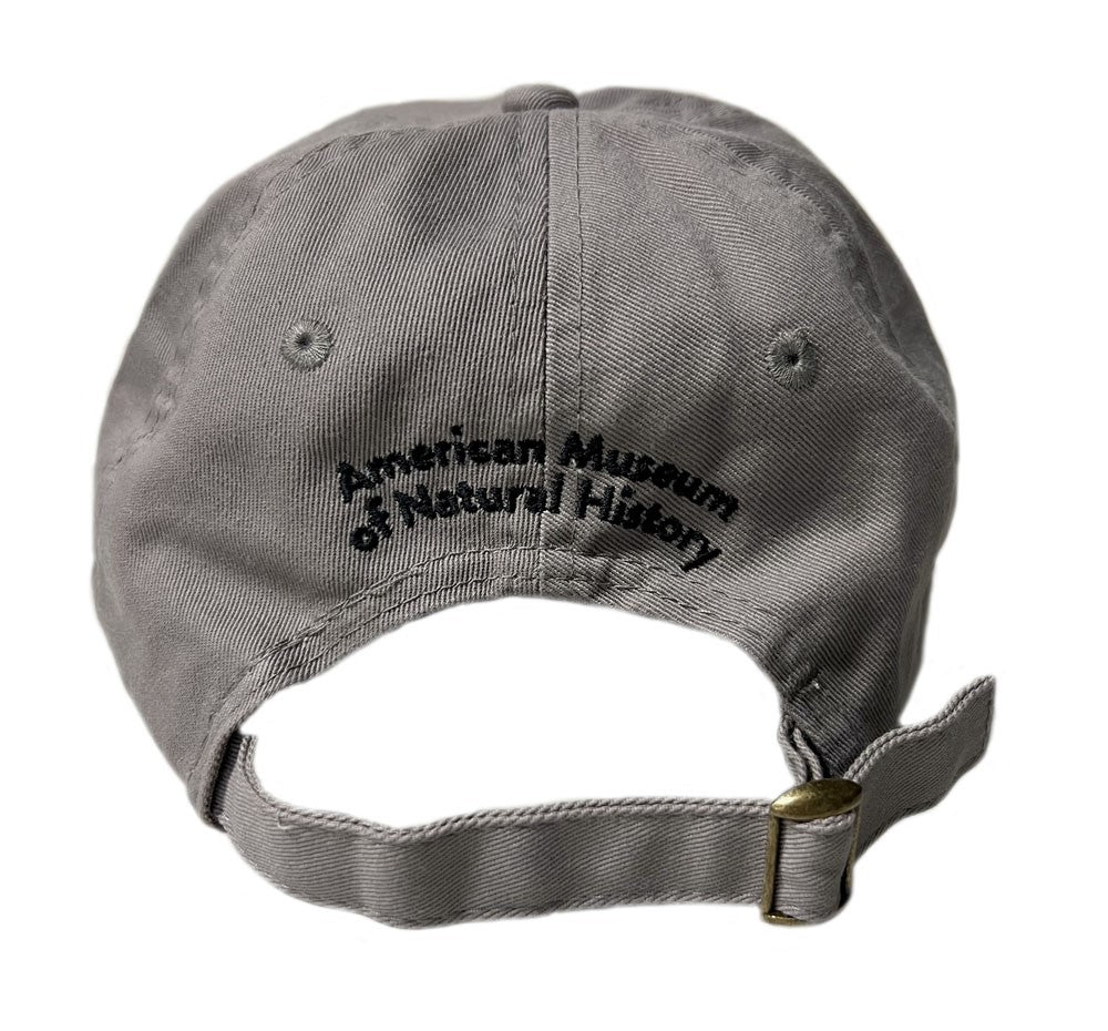 Youth Ladybug Cap Back