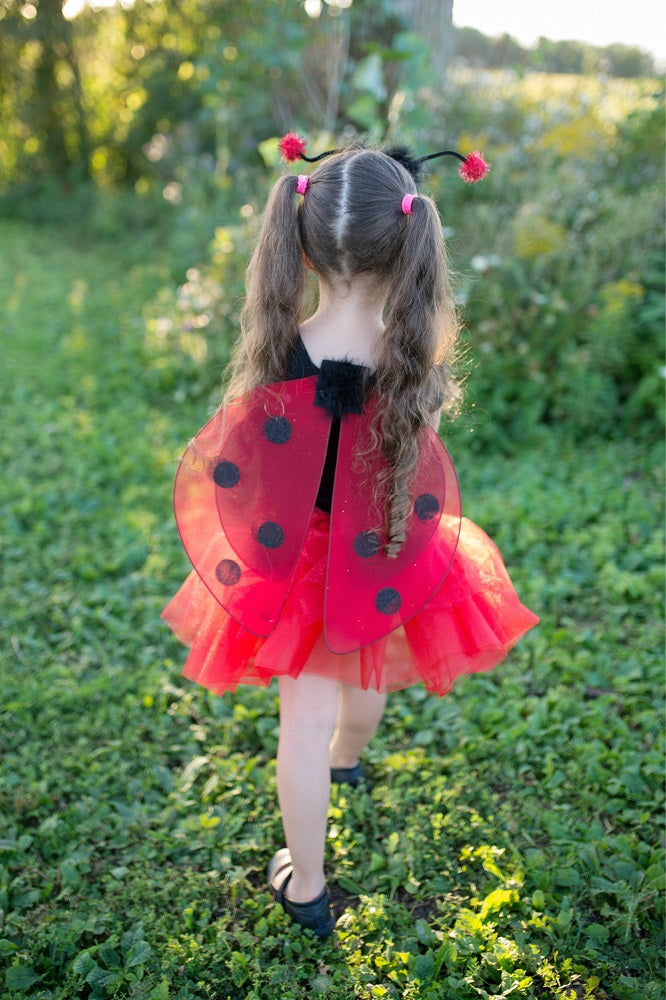 Child's Ladybug Costume details