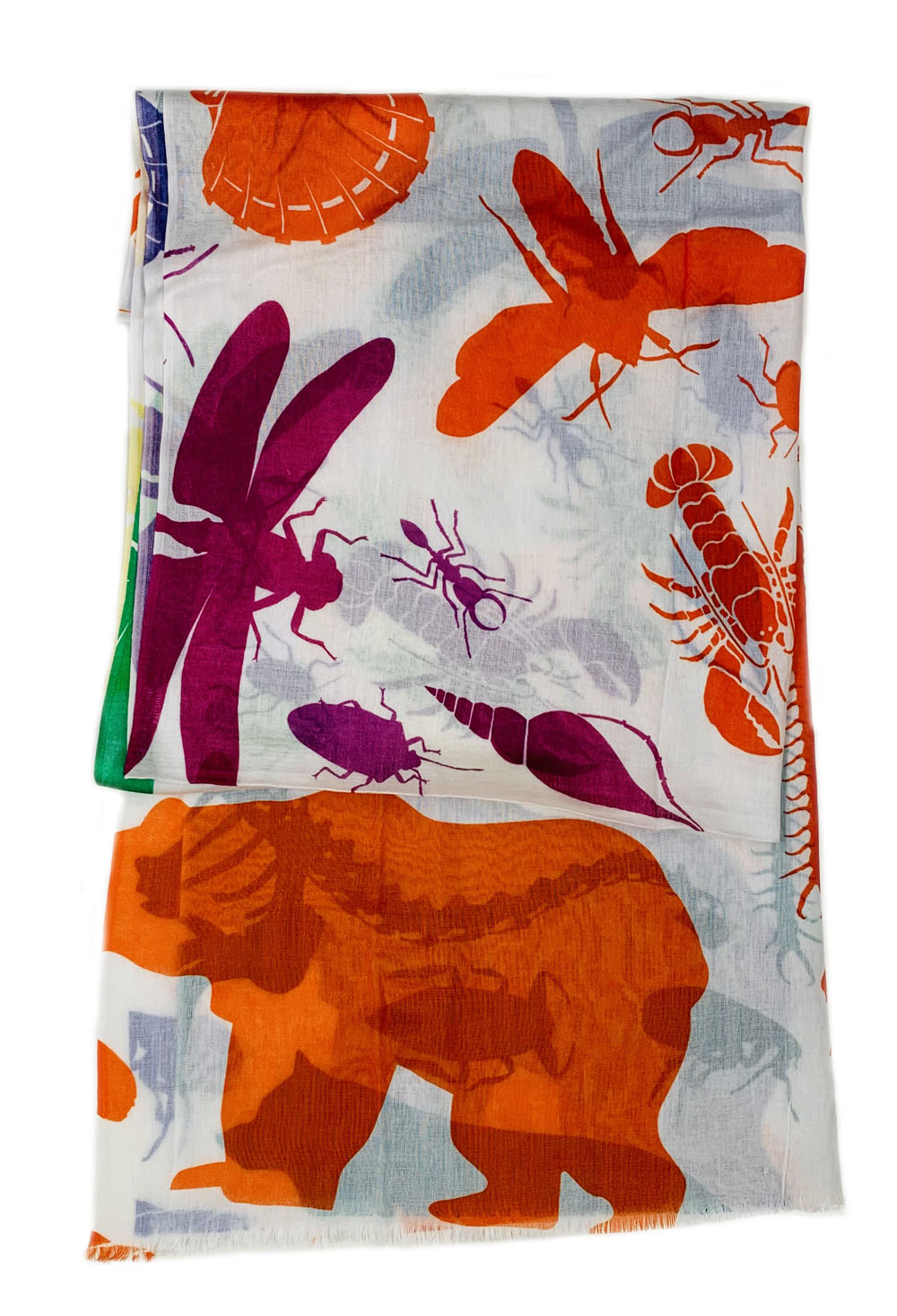 The Nature of Color 77 Inch Oblong Scarf