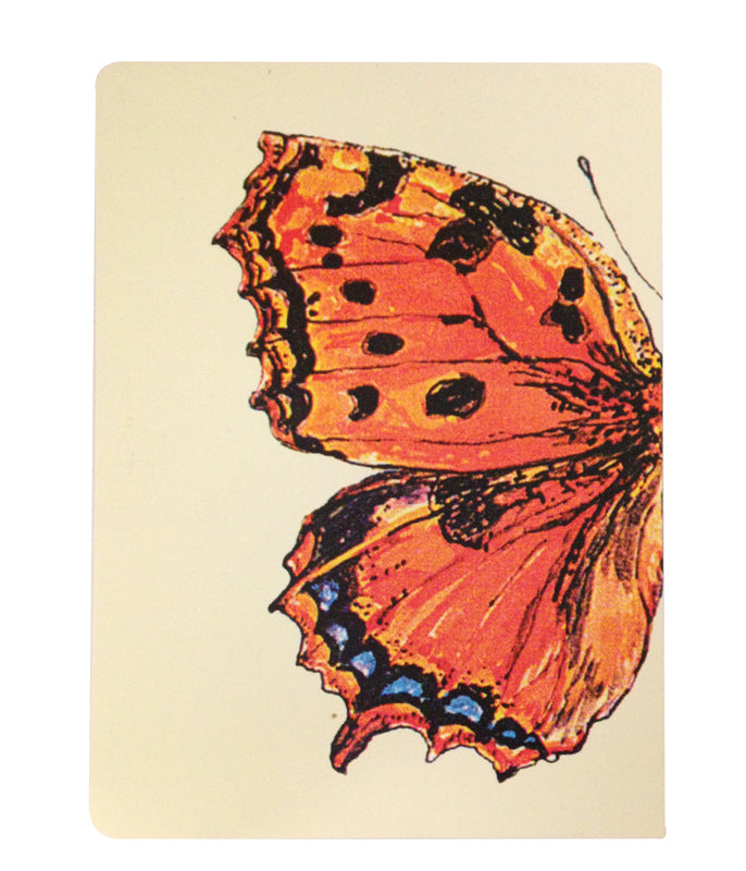 Large Tortoiseshell Butterfly Journal