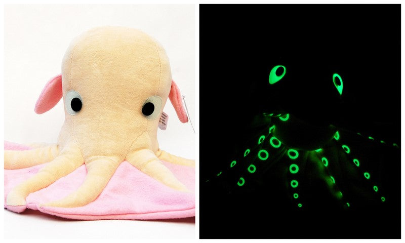 Leonardo the Octopus