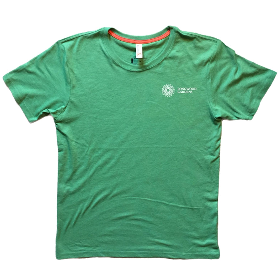 Original Aspen Wood Vases