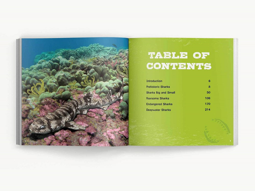 The Little Chunky Book of Sharks